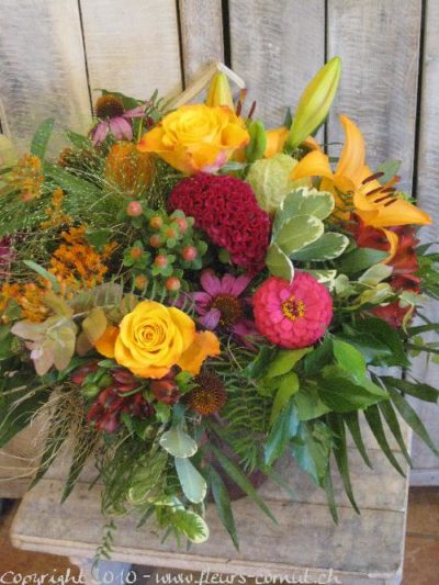 Splendeur d'automne