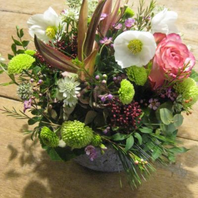 b.cornut fleuriste - Hellebore dans son jardin