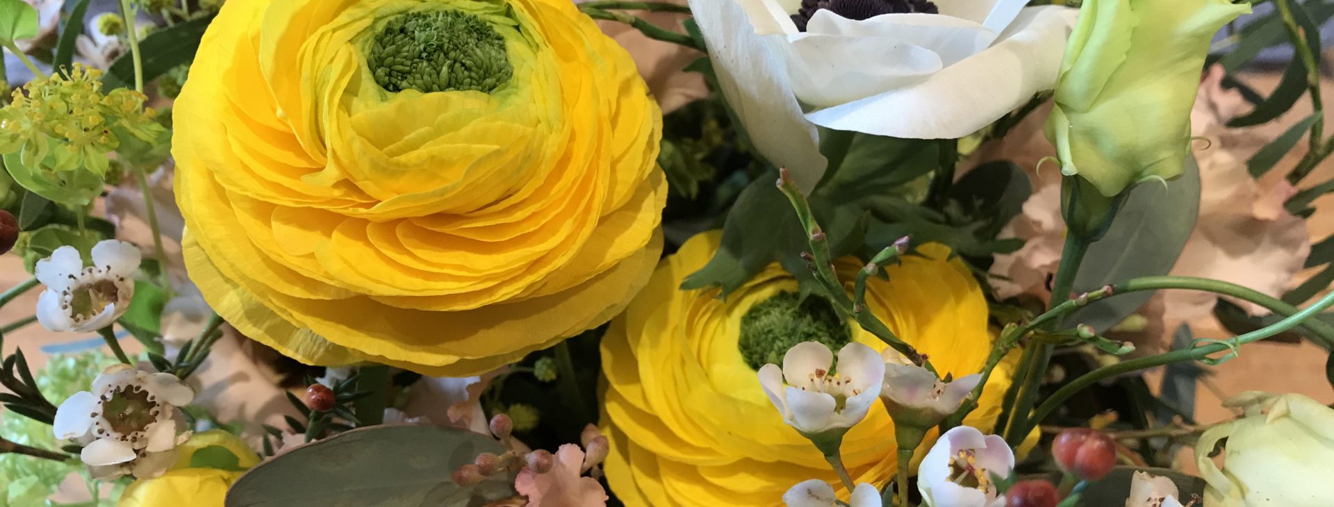 b.cornut fleuriste - Le soleil arrive