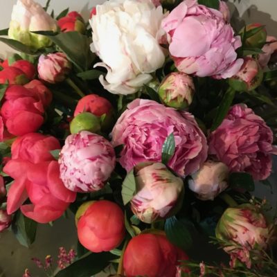 B.Cornut Fleuriste Pivoines et Verdure