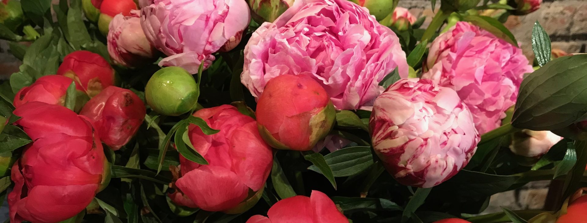 B.cornut Fleuriste - pivoines et verdure