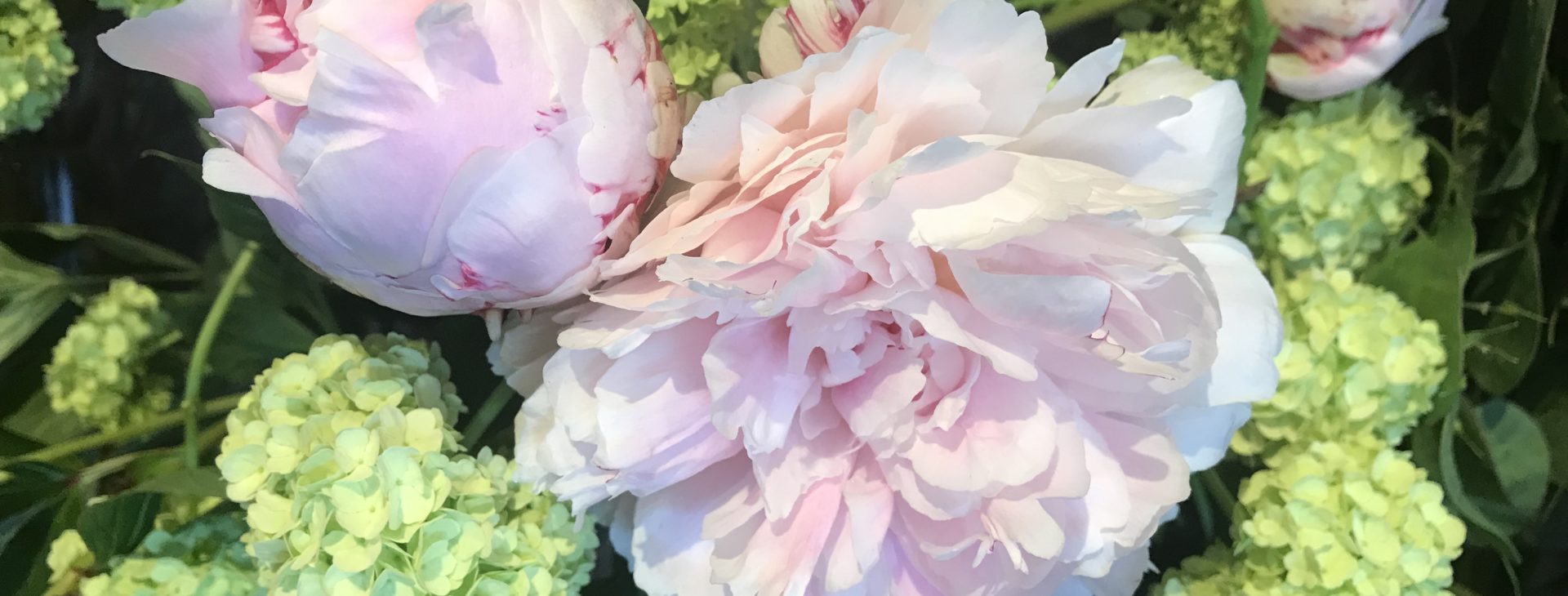 B.Cornut Fleuriste - N'oubliez pas votre maman